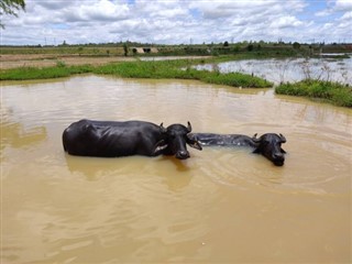 Kambodzsa