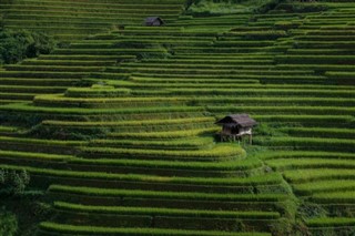 Camboya