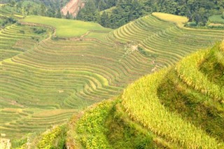Kemboja