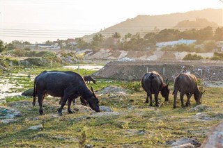 Kambodža