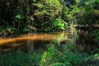 Camboya