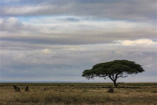 Kamerun