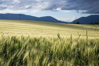 Kap Verde Wetterzonen