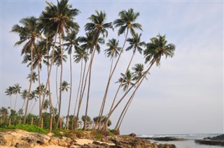 ケイマン諸島