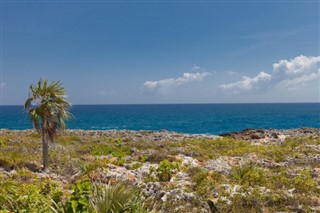 ケイマン諸島