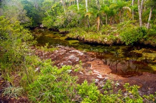 கொலம்பியா