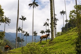 Colombia