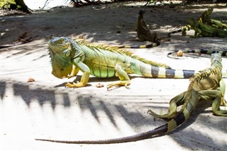 Colombia