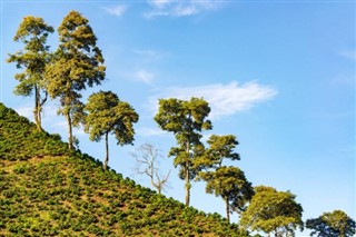 Colombia