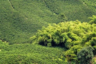 கொலம்பியா