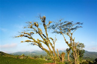 கொலம்பியா