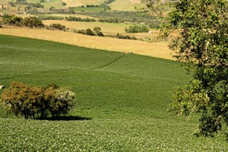 Kolumbija