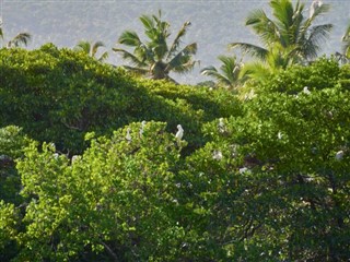 Comoros