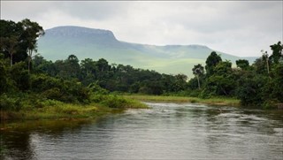 কঙ্গো