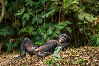 Congo, Democratic Republic time zones