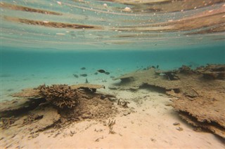 珊瑚海群島