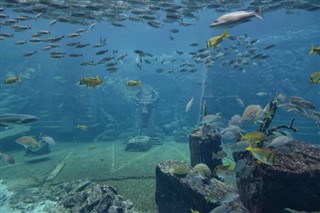 珊瑚海群島