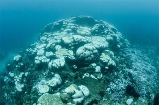 珊瑚海群島