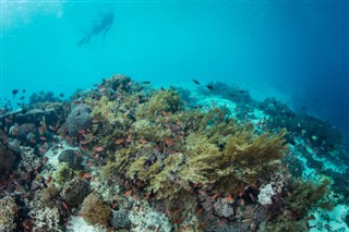 珊瑚海群島