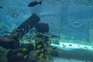 Coral Sea Islands fuseaux horaires