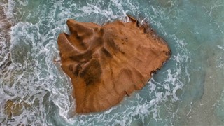 珊瑚海群島