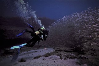 珊瑚海群島