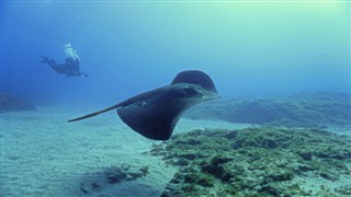コーラル・シー諸島 気象ゾーン