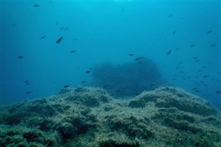 コーラル・シー諸島