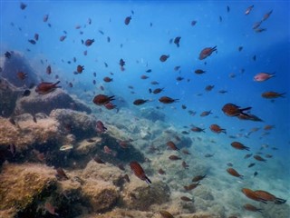 コーラル・シー諸島