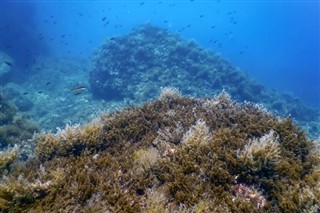 コーラル・シー諸島 気象ゾーン