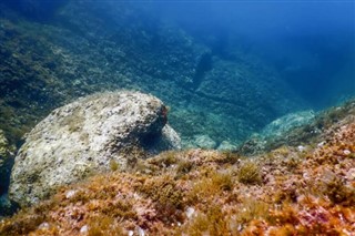 珊瑚海群岛