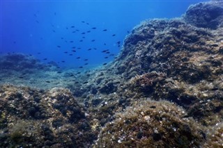 コーラル・シー諸島