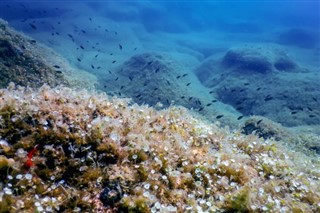 珊瑚海群岛