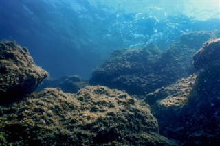 珊瑚海群島