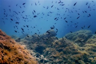 珊瑚海群島