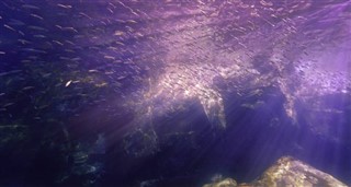 珊瑚海群島 天氣區