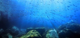 珊瑚海群島