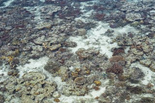 コーラル・シー諸島