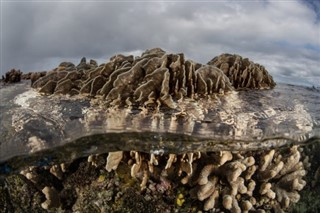 珊瑚海群島