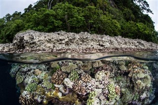 コーラル・シー諸島