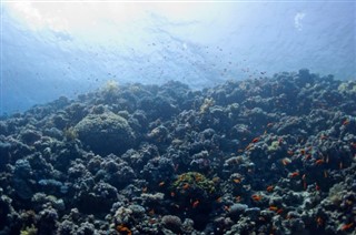 珊瑚海群島