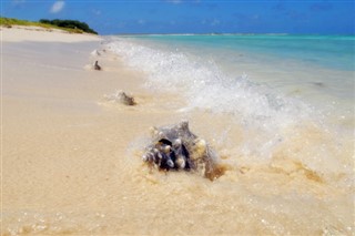 珊瑚海群島