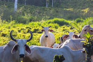 কোস্টারিকা