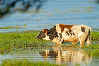 কোস্টারিকা