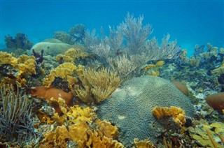 オランダ領アンティル 気象ゾーン