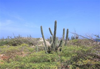 荷属安的列斯 弗里曼斯克区