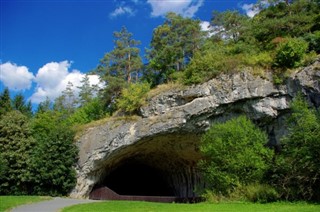 Czech