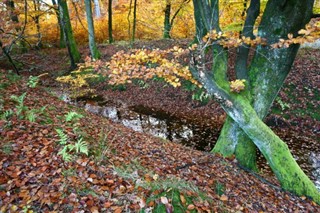 Dánsko