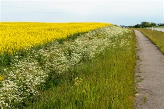 Denemarken