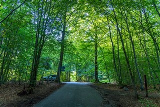 Danmörk